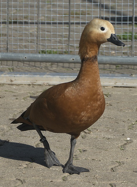 来一场至关